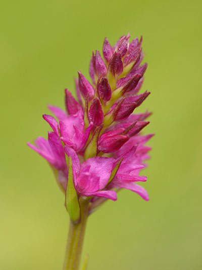 Naturfotografie